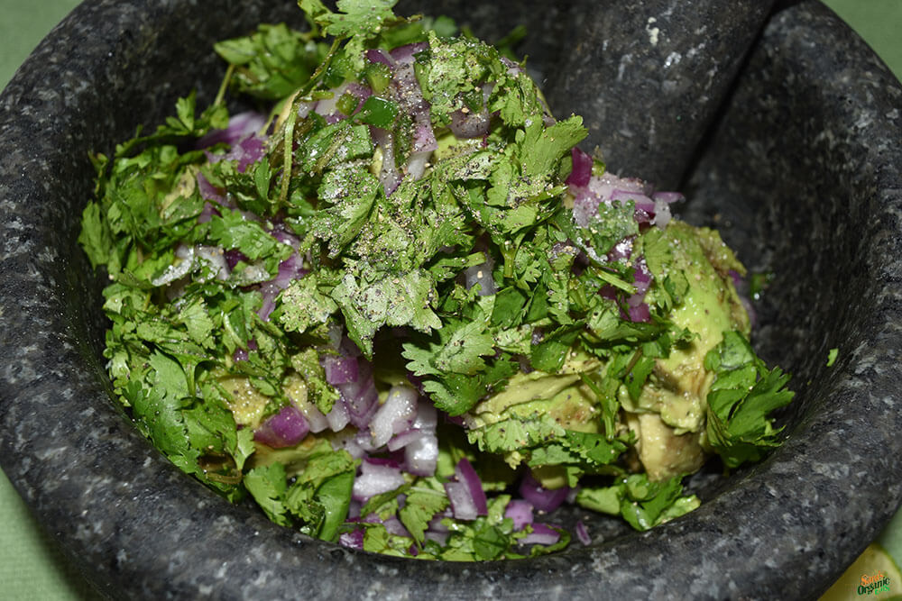 organic-guacamole-molcajete