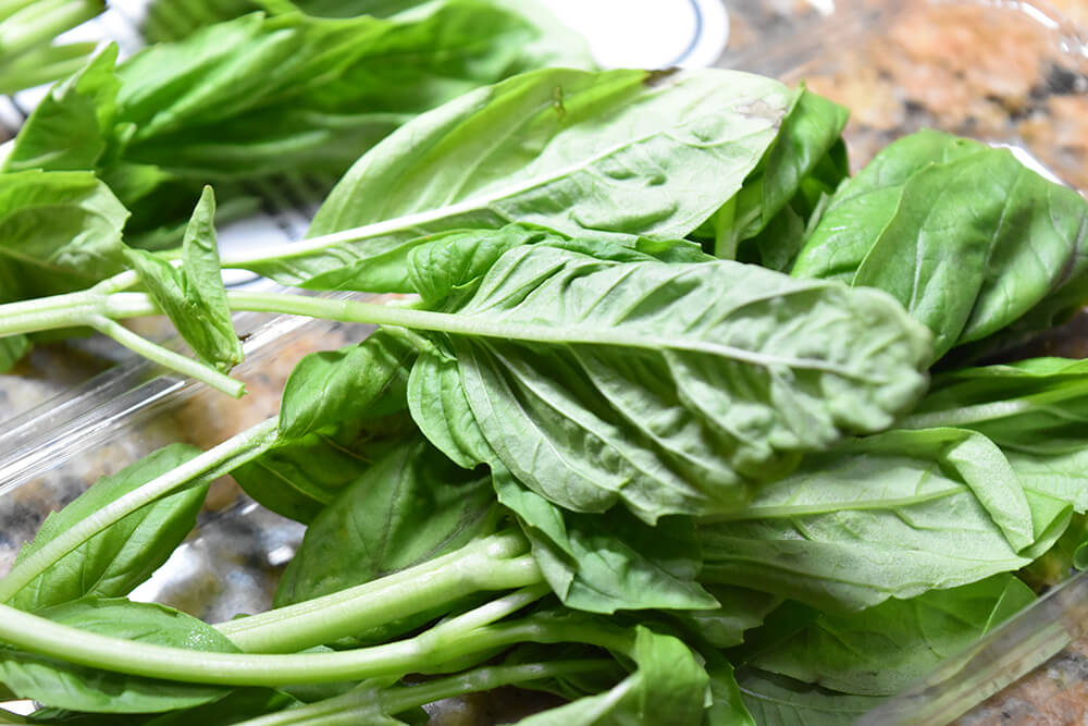 sea-salt-watermelon-basil