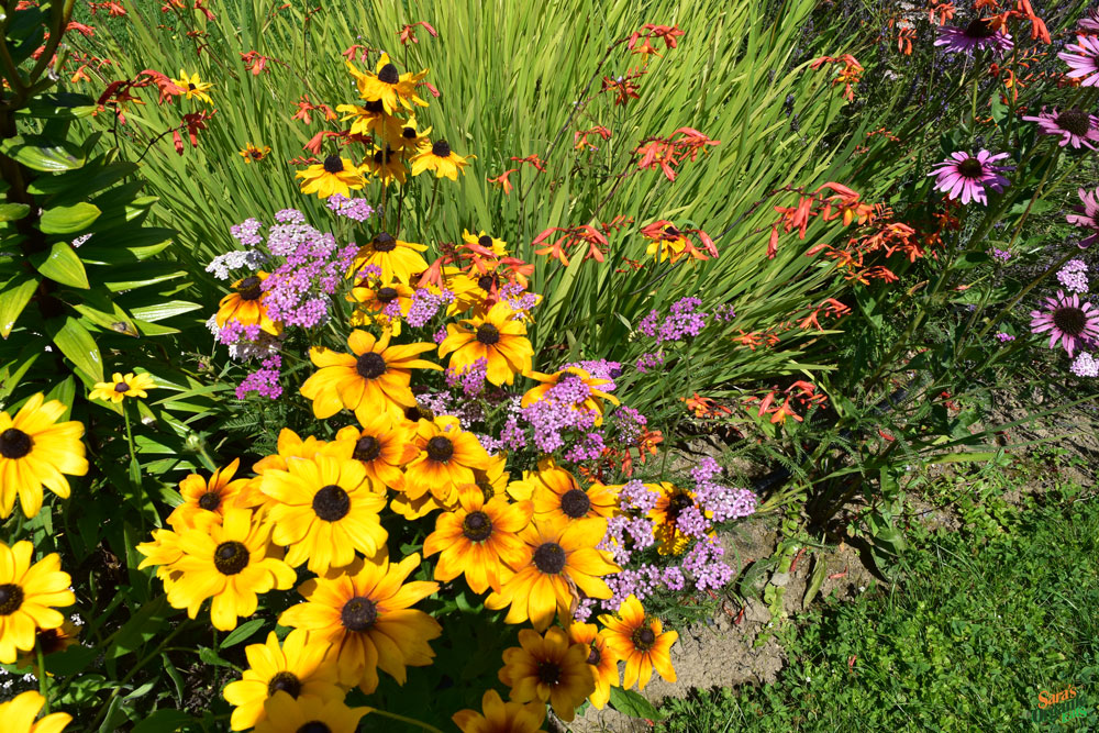 cascadian-farm-flowers-2