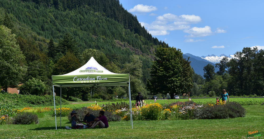 cascadian-farm-mountains-flowers