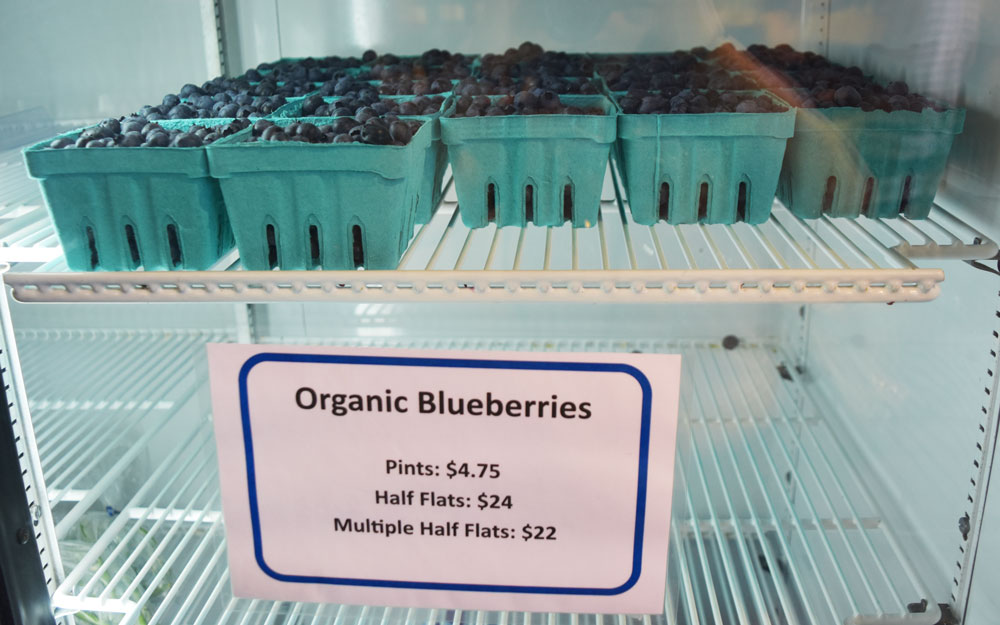 cascadian-farm-organic-blueberries