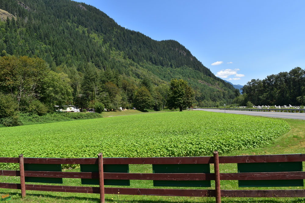 cascadian-farm-outside-farm